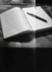 モレスキンとペリカン