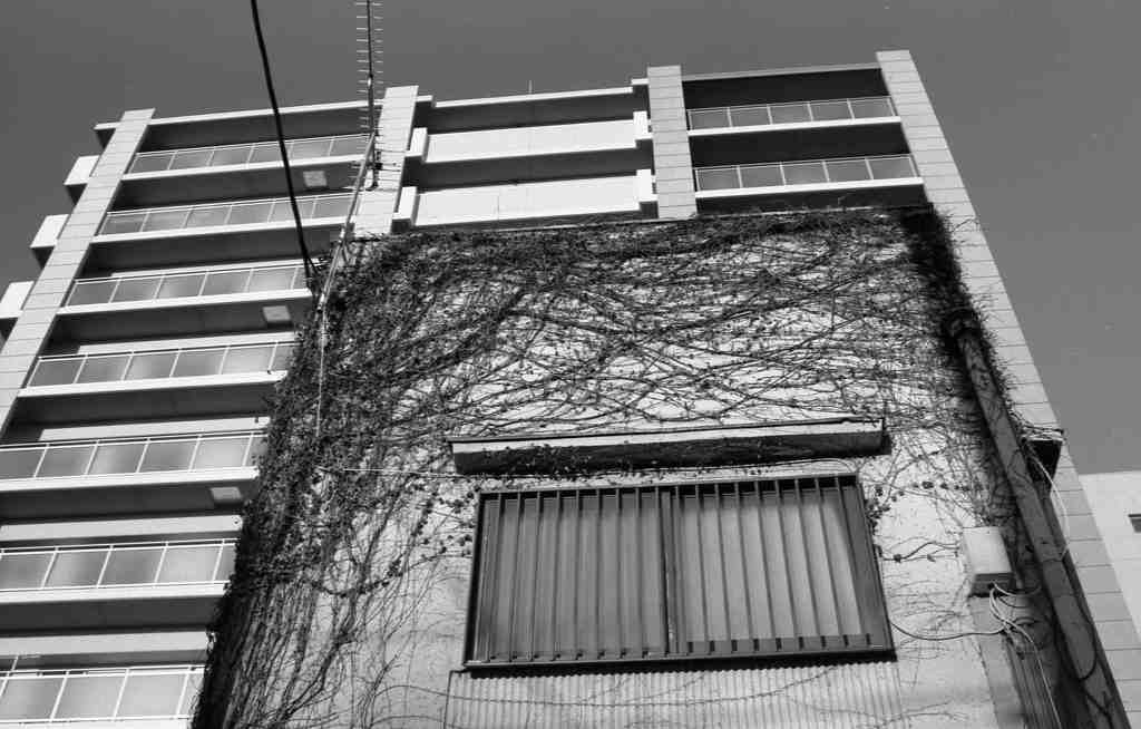 昭和と平成の共存