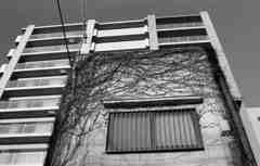 昭和と平成の共存