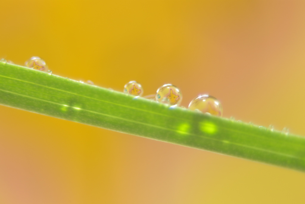 かくれんぼ4（ピカチュー）