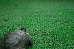 陸上男子１００Ｍ決勝