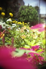 学研大人の科学二眼レフにて