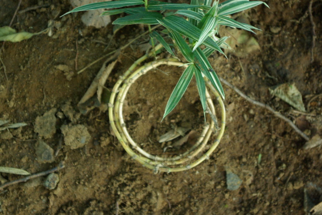 いつもより多めに回しています