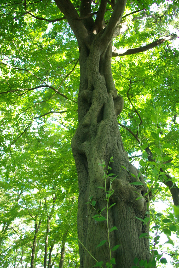 ひねってねじって