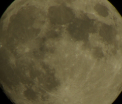 お月様をギュウギュウ詰め