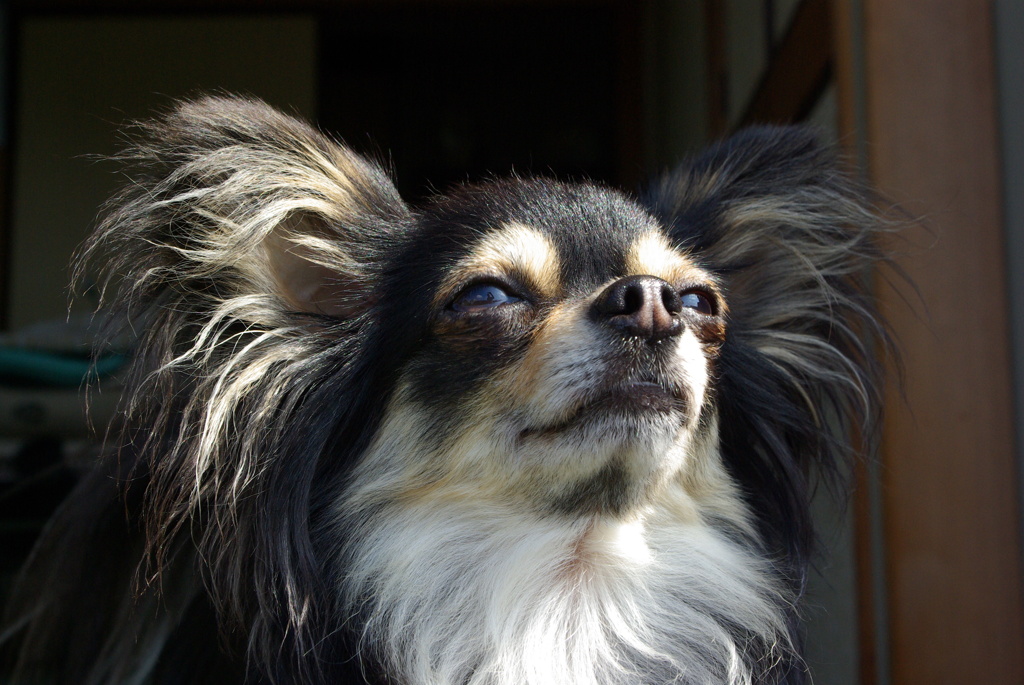 今日も暑くなりそうだな