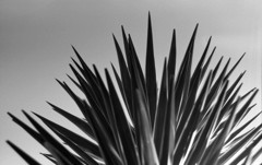 うらやましいなー