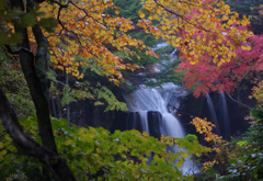 竜頭の滝下流側