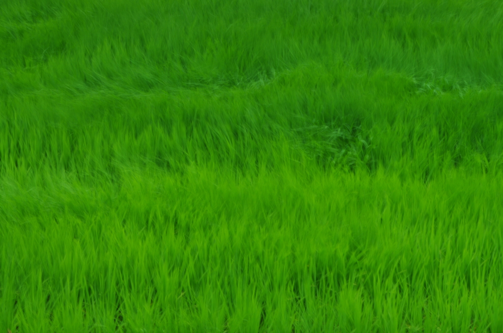 もうすぐ来るよ