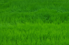 もうすぐ来るよ