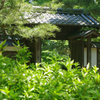 浅学菲才