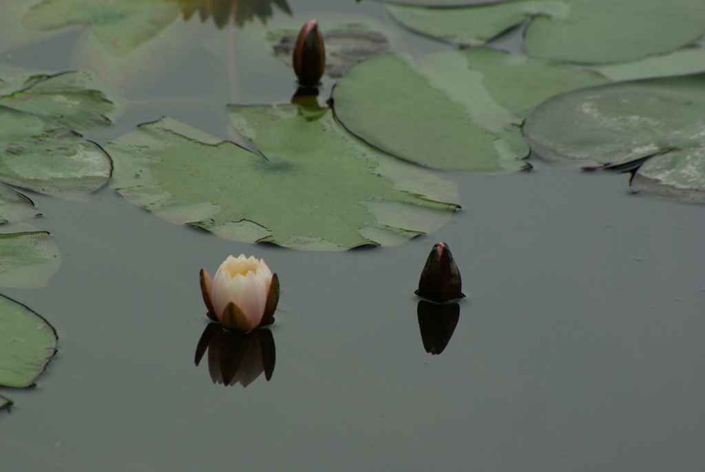初めてみる外の景色は