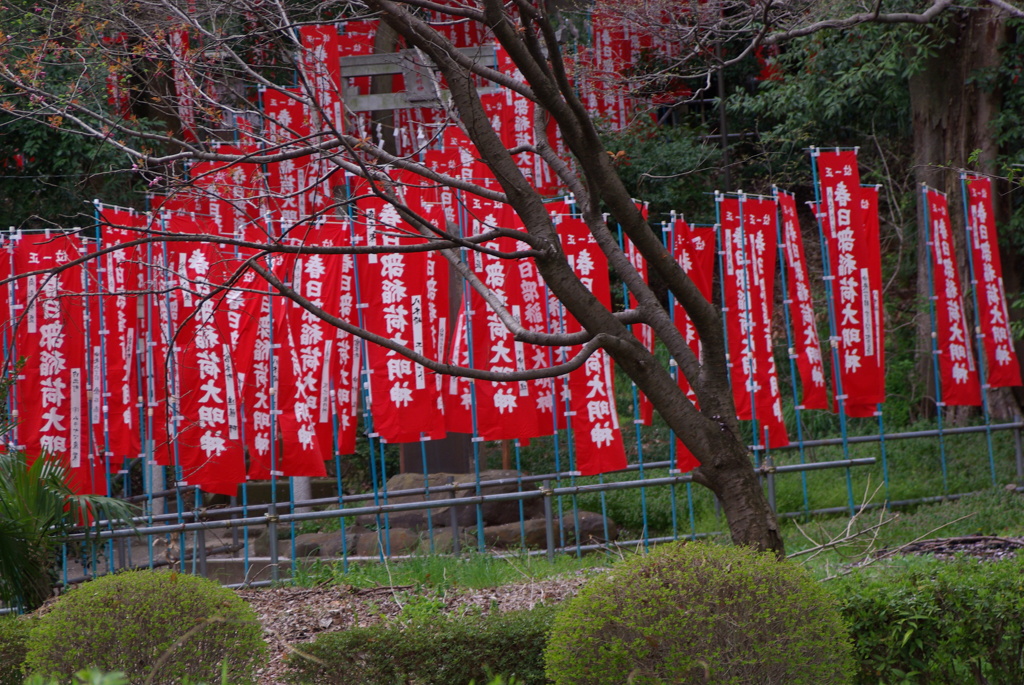 サイスタ爆心地？