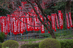 サイスタ爆心地？