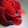 深紅