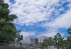 空。