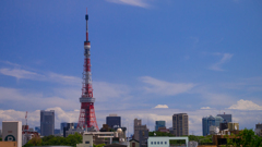 六本木ヒルズからの東京タワー。