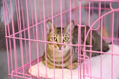20120503_0032_5D3