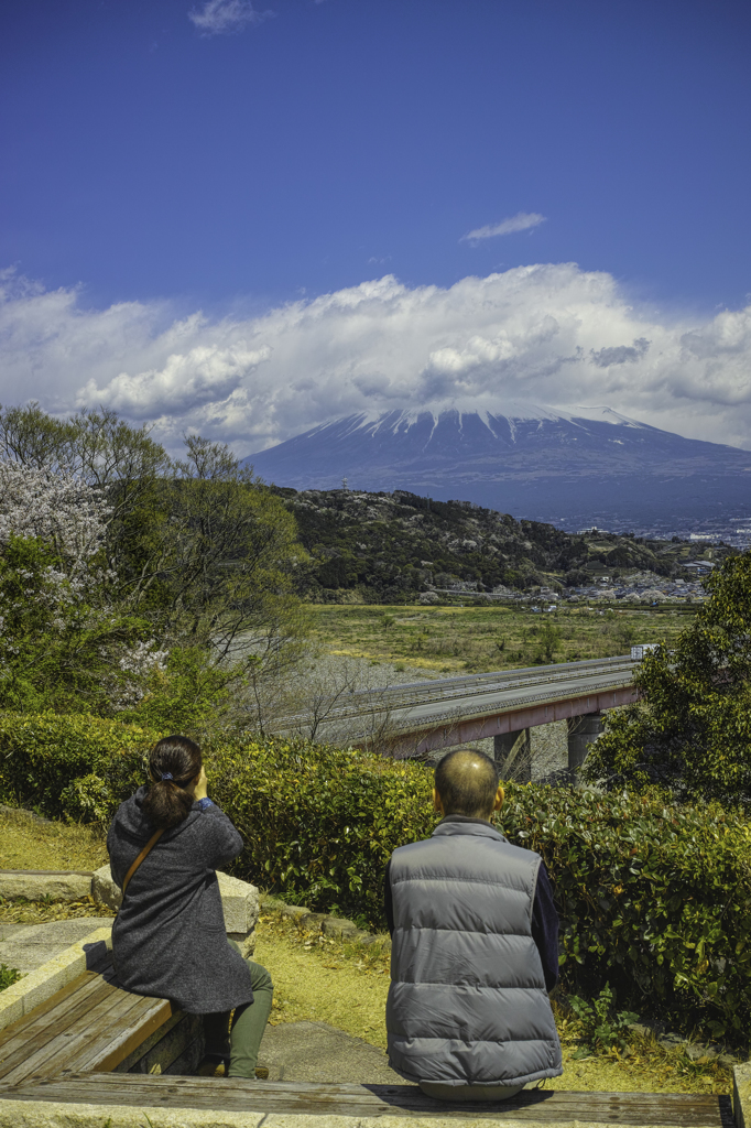 春の富士山にみとれる