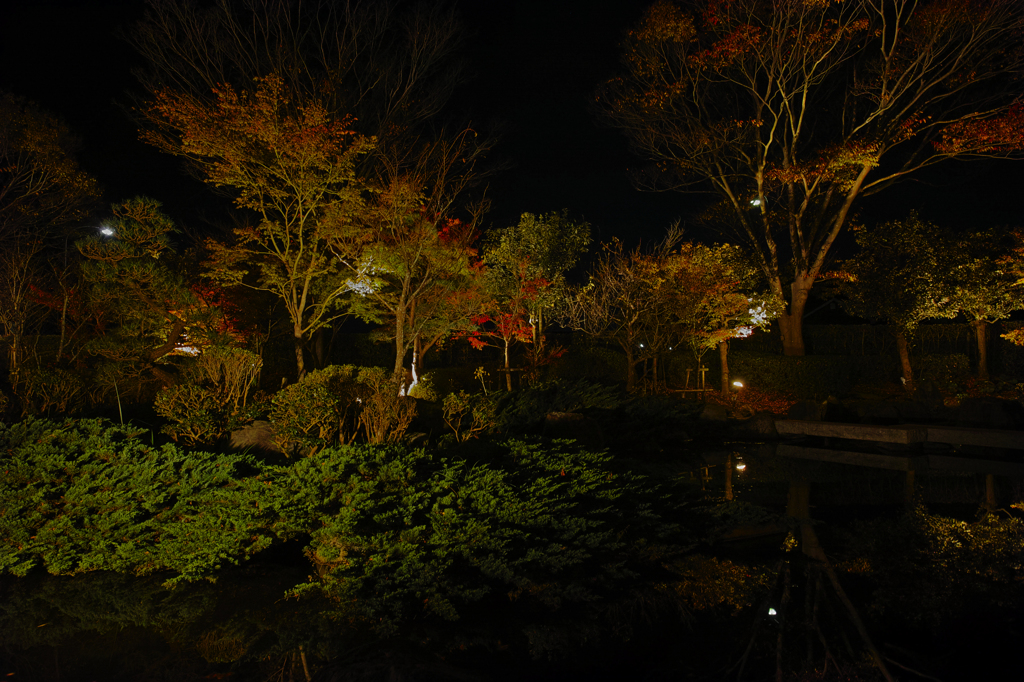 今年の紅葉はいまいちですねえ、、