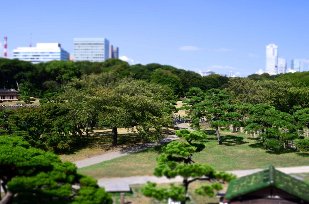 浜離宮恩賜公園ディオラマ