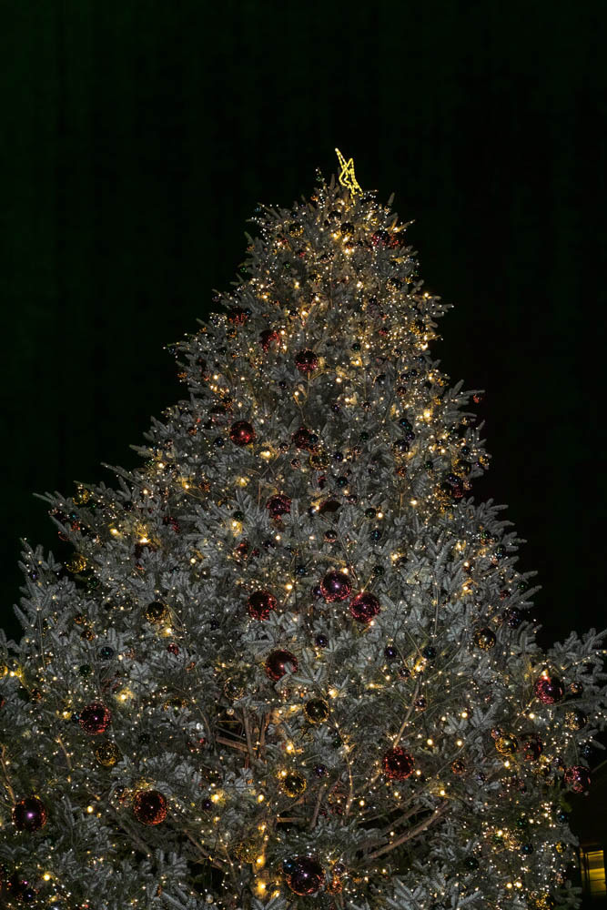 横浜赤レンガ倉庫のクリスマスツリー