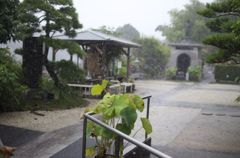 土砂降りの龍谷寺3