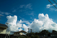 にわか雨の後