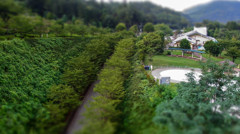 神奈川県立愛川公園ディオラマ