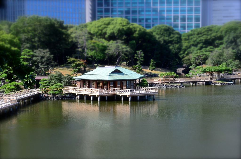 浜離宮diorama