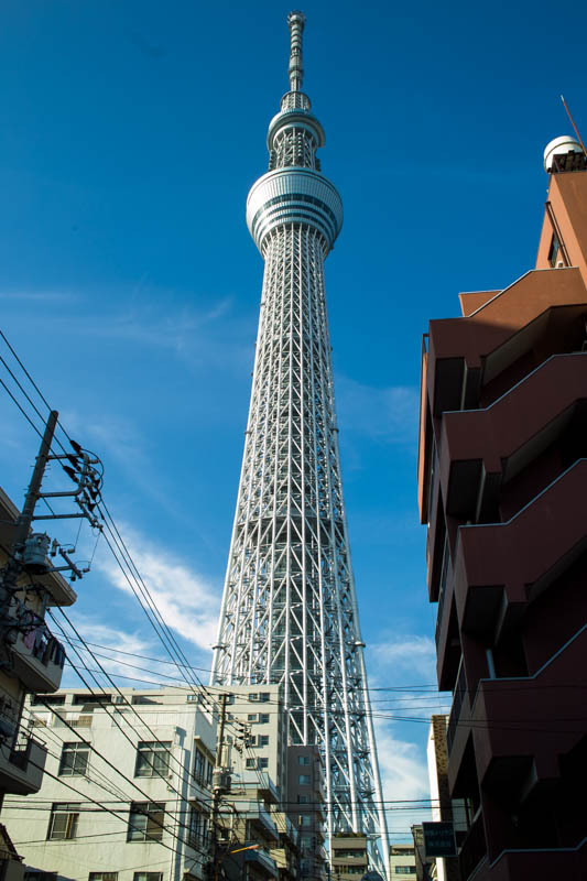 晴天の東京スカイツリー@SIGMA-DP1s