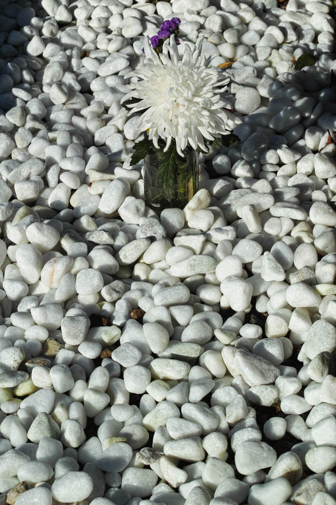 白い石と白い花