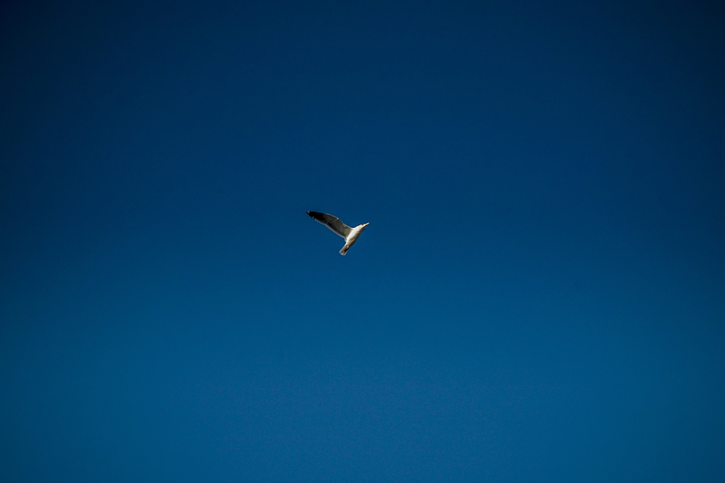 大空へ