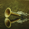 Piccolo Trumpetのカタログみたいに撮れました（爆）
