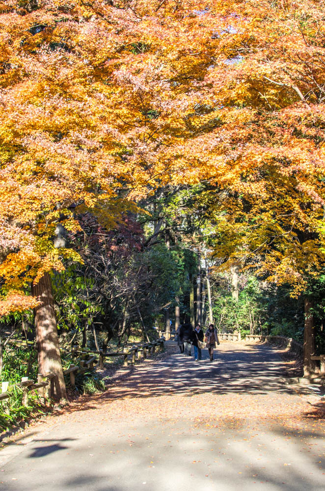 紅葉の凱旋門が二人を待ってるよ