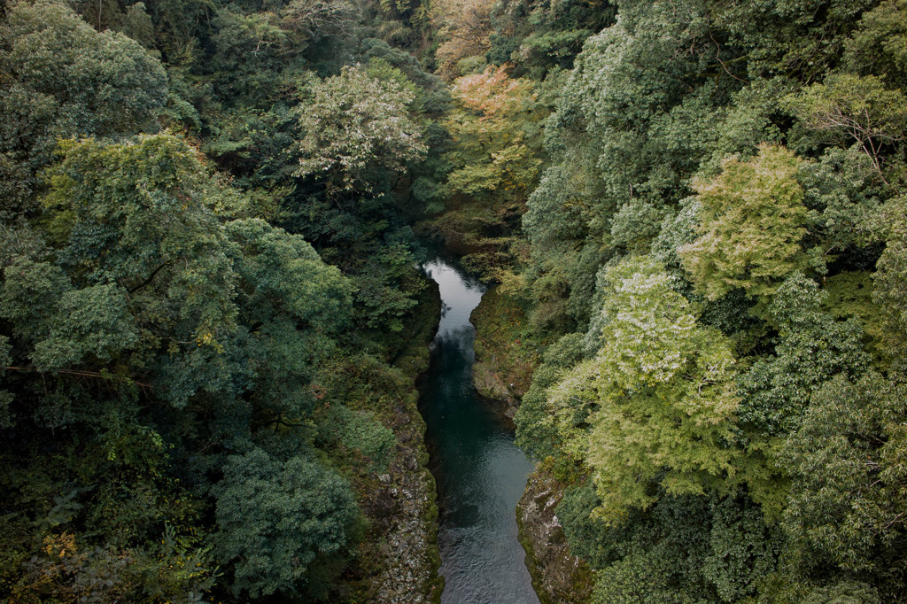 天岩戸橋から見えた川面