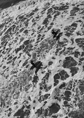 Silent Wave