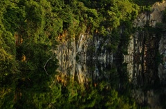 Eye of Forest