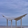 Morning Tranquility