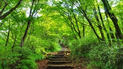 金時山登山道
