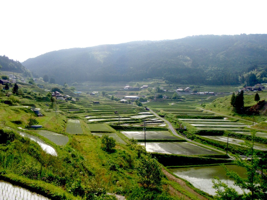 中須の棚田