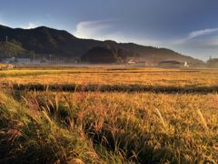 田園風景　