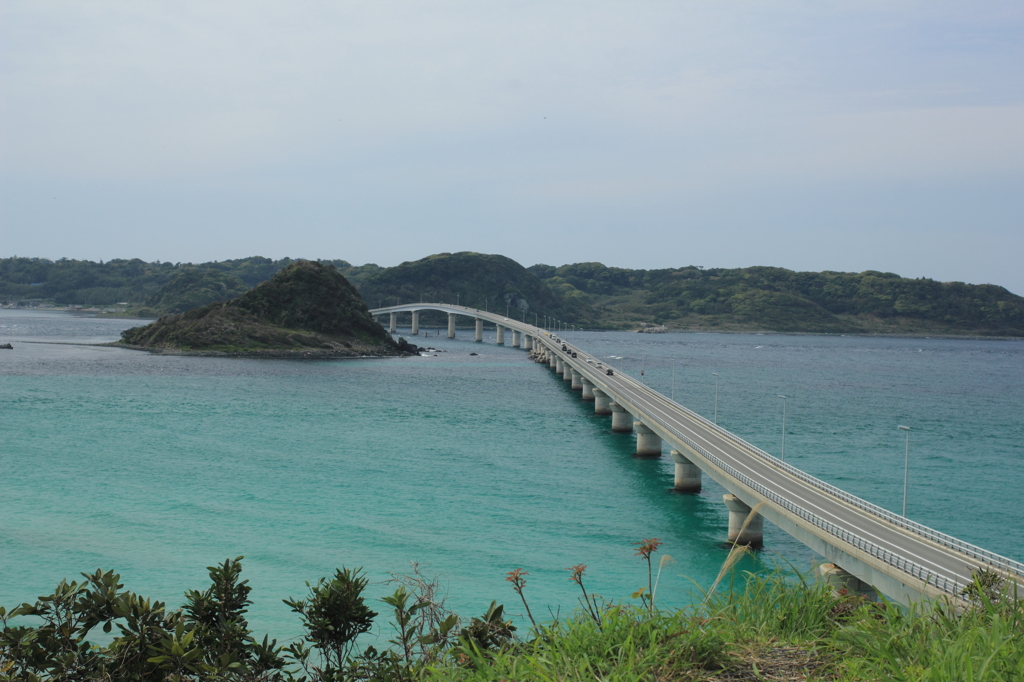 大橋