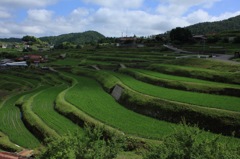 中須の棚田