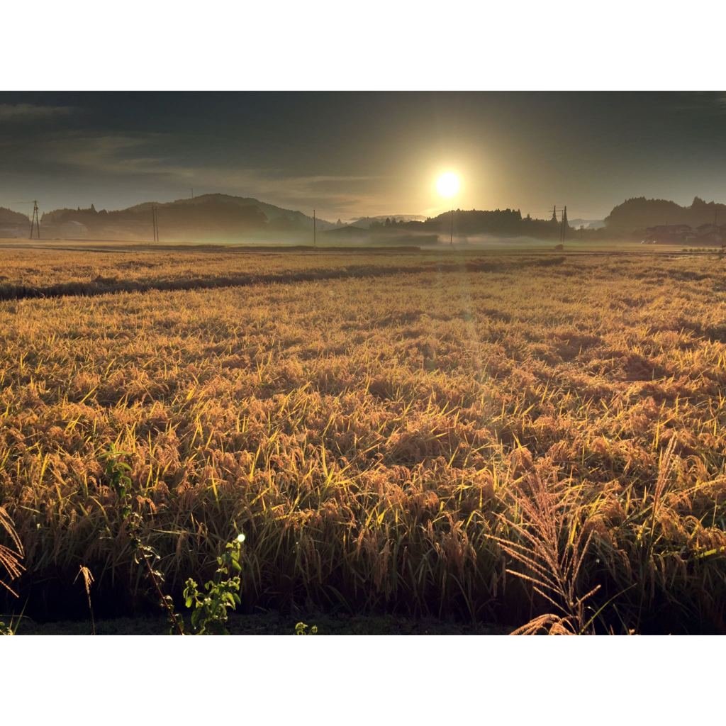 田園風景