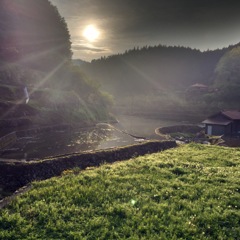 田園