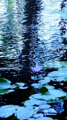 藍の世界