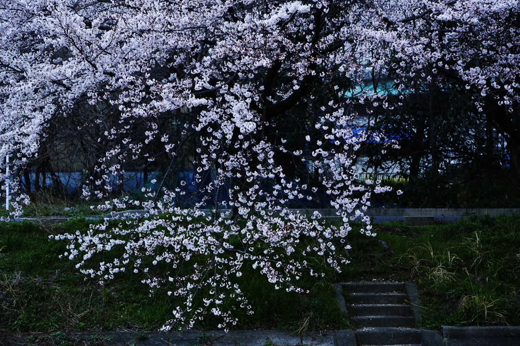 古への郷愁