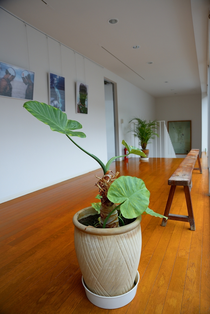 海岸美術館２nd-floor