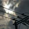 電線上の金環